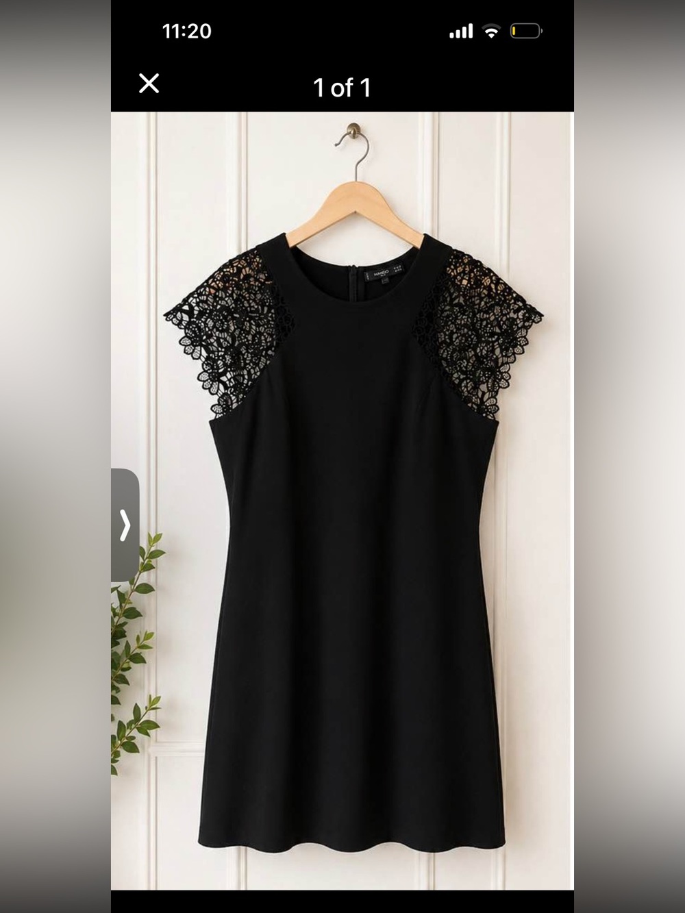 Mango Black Lace Cap-Sleeve Shift Dress